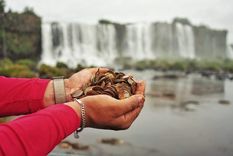 Una práctica contaminante.