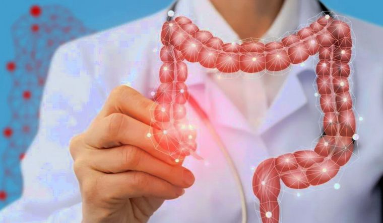 El hallazgo científico tendrá impacto favorable en los futuros estudios intestinales