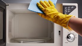 Quedará realmente como nuevo. Foto: Fuente: Shutterstock
