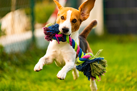 Un sueño para analizar. Fuente: Freepik. Un sueño para analizar. Fuente: Freepik.