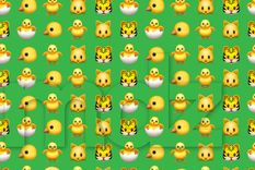 El acertijo visual es uno de los divertidos de resolver.