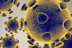 teorias conspirativas: las tres ideas mas locas del surgimiento del coronavirus