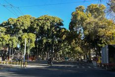 Buen tiempo en Mendoza para este domingo. Foto: Santiago Tagua/MDZ