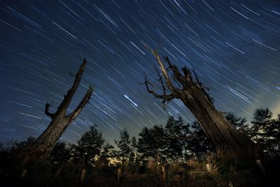 MDZol | lluvia de meteoros, lluvia de estrellas