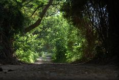 san marcos sierras, otro lugar de cordoba