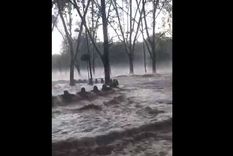 impresionantes videos: asi esta el parque san martin impresionantes videos: asi esta el parque san martin