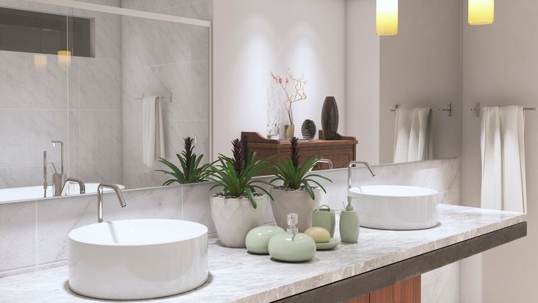 Cada planta tiene su encanto. Foto: Archivo