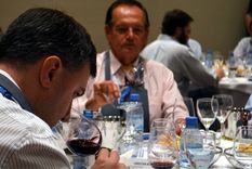 fin de semana de grandes concursos en mendoza: vinandino 2018 y malbec al mundo