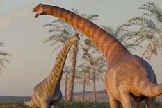 Chadititan calvoi es un dinosaurio herbívoro de cuello largo que vvió hace 75 millones de años. Foto: Gabriel Diaz Yanten