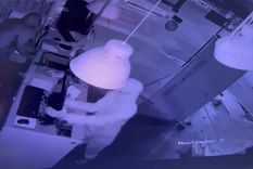 El paso de los malvivientes por el lugar Foto: Captura de video. Gentileza Prolube El paso de los malvivientes por el lugar Foto: Captura de video. Gentileza Prolube