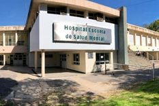 El empleado acusado trabajaba en el hospital Escuela de Salud Mental. Foto: Clarín