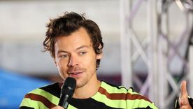 Foto: https://parade.com/news/fan-proposes-harry-styles-concert-portugal-2022