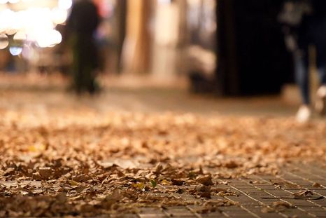 El Servicio Meteorológico Nacional (SMN) publicó el pronóstico trimestral para otoño con estimaciones sobre lluvias y temperaturas hasta mayo de 2026. El Servicio Meteorológico Nacional (SMN) publicó el pronóstico trimestral para otoño con estimaciones sobre lluvias y temperaturas hasta mayo de 2026.