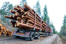 Mientras el empresario acusa fuertes caídas de la actividad de hasta el 50%, el sindicato sectorial dice que se está trabajando a full. Foto: Shiutterstock