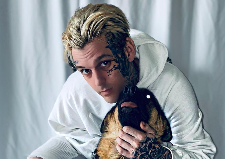 El famoso hermano de Aaron Carter, Nick, se emocionó en uno de sus últimos recitales al recordar a su little brother.