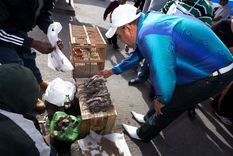 Foto: (Gentileza Diario Vanguardia)