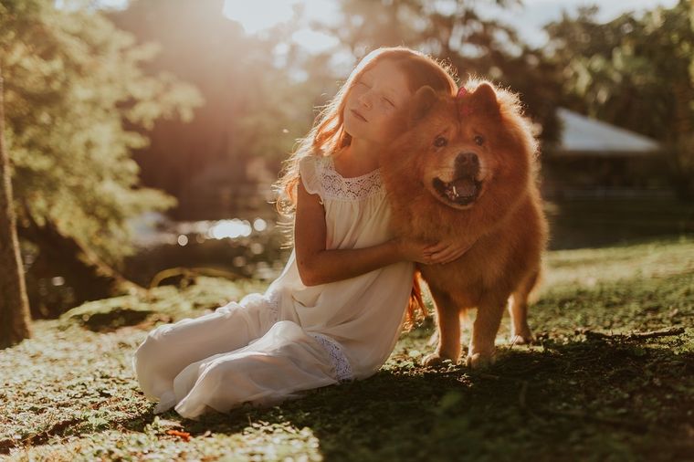 Perros Conoce cuáles son los más compañeros de los niños Foto: Pexels