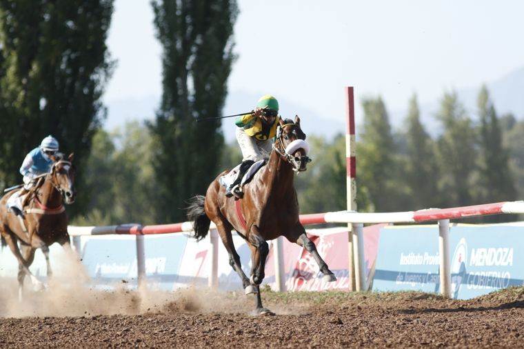 Macklin buscará cerrar el año demostrando que es el mejor caballo del medio. Foto: José Maluf