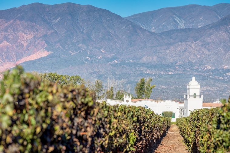 Hacer senderismo en bodegas es una interesante propuesta de turismo vitivinícola. Foto: @visitargentina