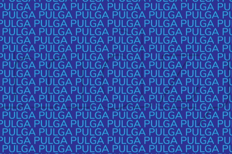 ACERTIJO VISUAL ACERTIJO VISUAL, RETO VISUAL, PALABRA Foto: MDZ ONLINE