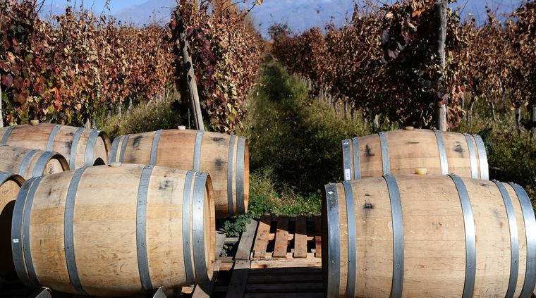 Foto: ALF PONCE MERCADO / MDZ