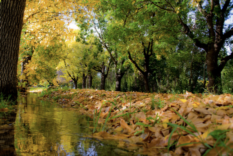 La menor afluencia turística tras el verano permite disfrutarlo con mayor calma. Foto: San Rafael Turismo La menor afluencia turística tras el verano permite disfrutarlo con mayor calma. Foto: San Rafael Turismo