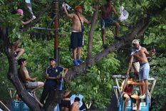 Foto: Maximiliano Ríos / MDZ Foto: Maximiliano Ríos / MDZ