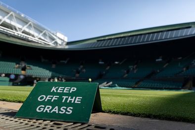 MDZol | wimbledon