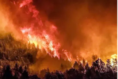 Incendios en Río Negro Foto: Agencia Noticias Argentinas/ redes