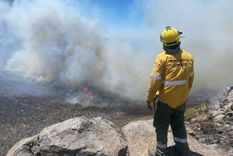 Los bomberos lograron contener el incendio forestal que se desató en una zona rural de San Rafael. Los bomberos lograron contener el incendio forestal que se desató en una zona rural de San Rafael.