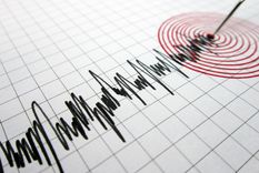 El epicentro del terremoto fue a 14 km de profundidad, en Natanz Foto: Shutterstock