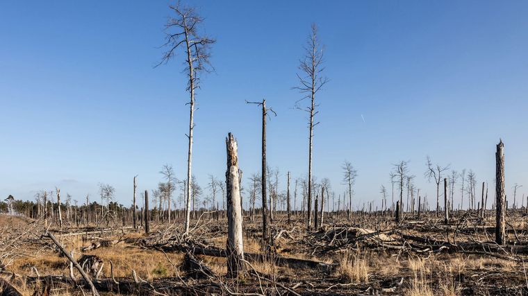 La actividad humana ha modificado visiblemente a nuestro planeta.