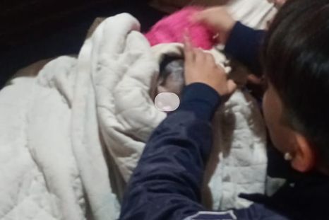 Imagen ilustrativa. Imagen ilustrativa.