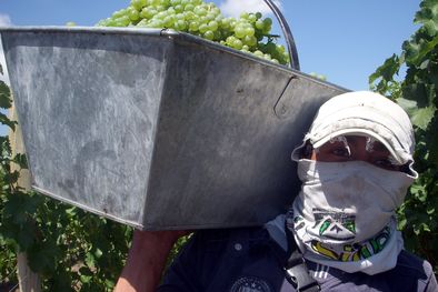 MDZol | Foto: Ulises Naranjo.