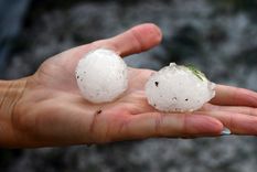 Imagen ilustrativa Foto: ALF PONCE MERCADO / MDZ Imagen ilustrativa Foto: ALF PONCE MERCADO / MDZ