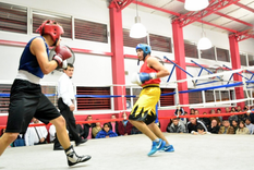 Se viene el Torneo Vendimia de Boxeo. Foto: Prensa Ciudad de Mendoza