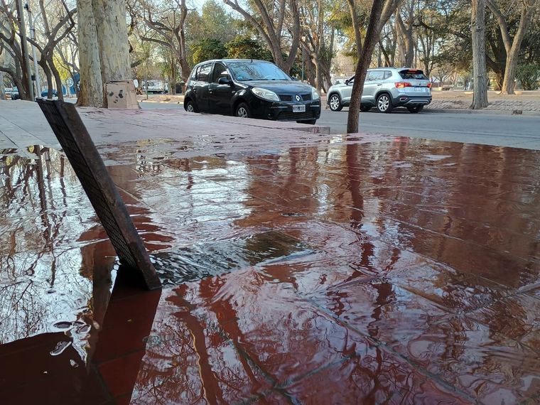El robo de medidores es un fenómeno que hace años se da en las calles de Mendoza