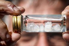 Medusa Irukandji en un frasquito.