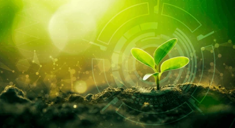 La IA se convierte en un factor clave para el desarrollo de cultivos sustentables. Foto: Shutterstock