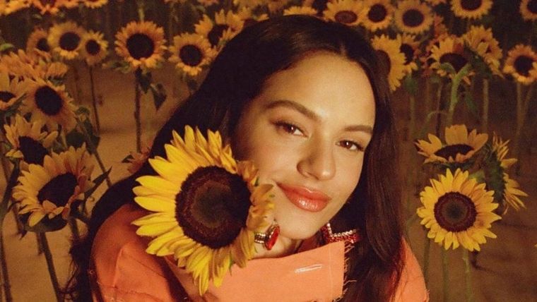 Rosalía, redes sociales, look