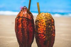 Gran oportunidad para disfrutar de la cultura y la gastronomía brasileña.