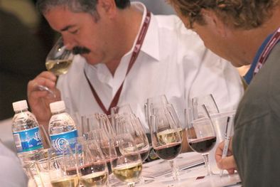 MDZol | Análisis sensorial vinos del año.