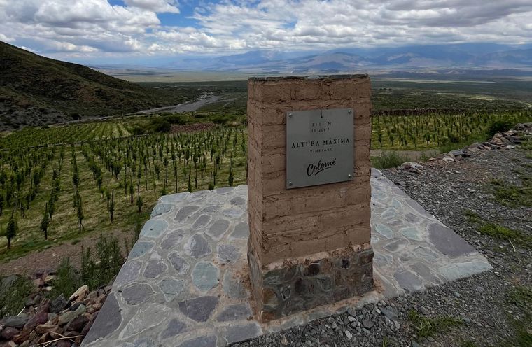 Altura Máxima, uno de los viñedos más extremos del mundo. Gentileza Altura Máxima, uno de los viñedos más extremos del mundo. Gentileza