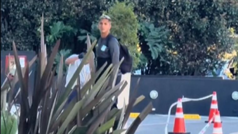 La cara de sorpresa de Almendra. Foto: Captura TikTok