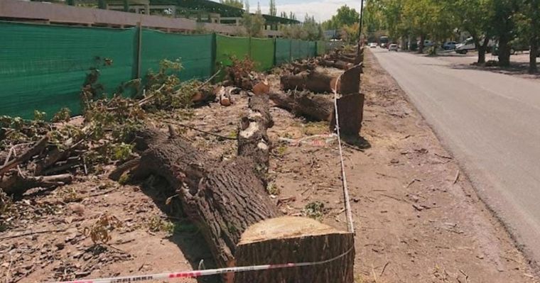 Así quedó la vereda sobre calle Viamonte, en Chacras.