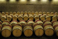 Para Bodegas de Argentina, la desregulación de la vitivinicultura sirve para competir en el mundo. Para Bodegas de Argentina, la desregulación de la vitivinicultura sirve para competir en el mundo.