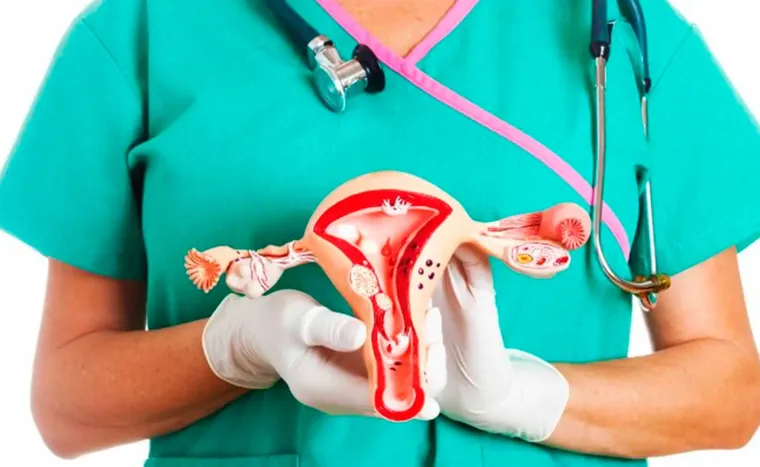 La inmunización es una de las principales herramientas para disminuir el impacto del cáncer cervicouterino. La inmunización es una de las principales herramientas para disminuir el impacto del cáncer cervicouterino.