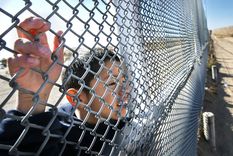 ninos inmigrantes: llegan dispuestos a morir