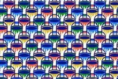 Acertijo visual, reto visual, balde Pinterest Foto: Archivo MDZ