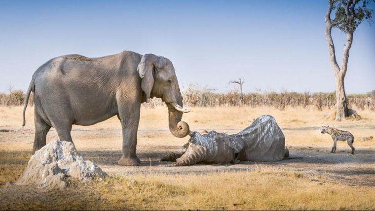Foto: Daily Mail